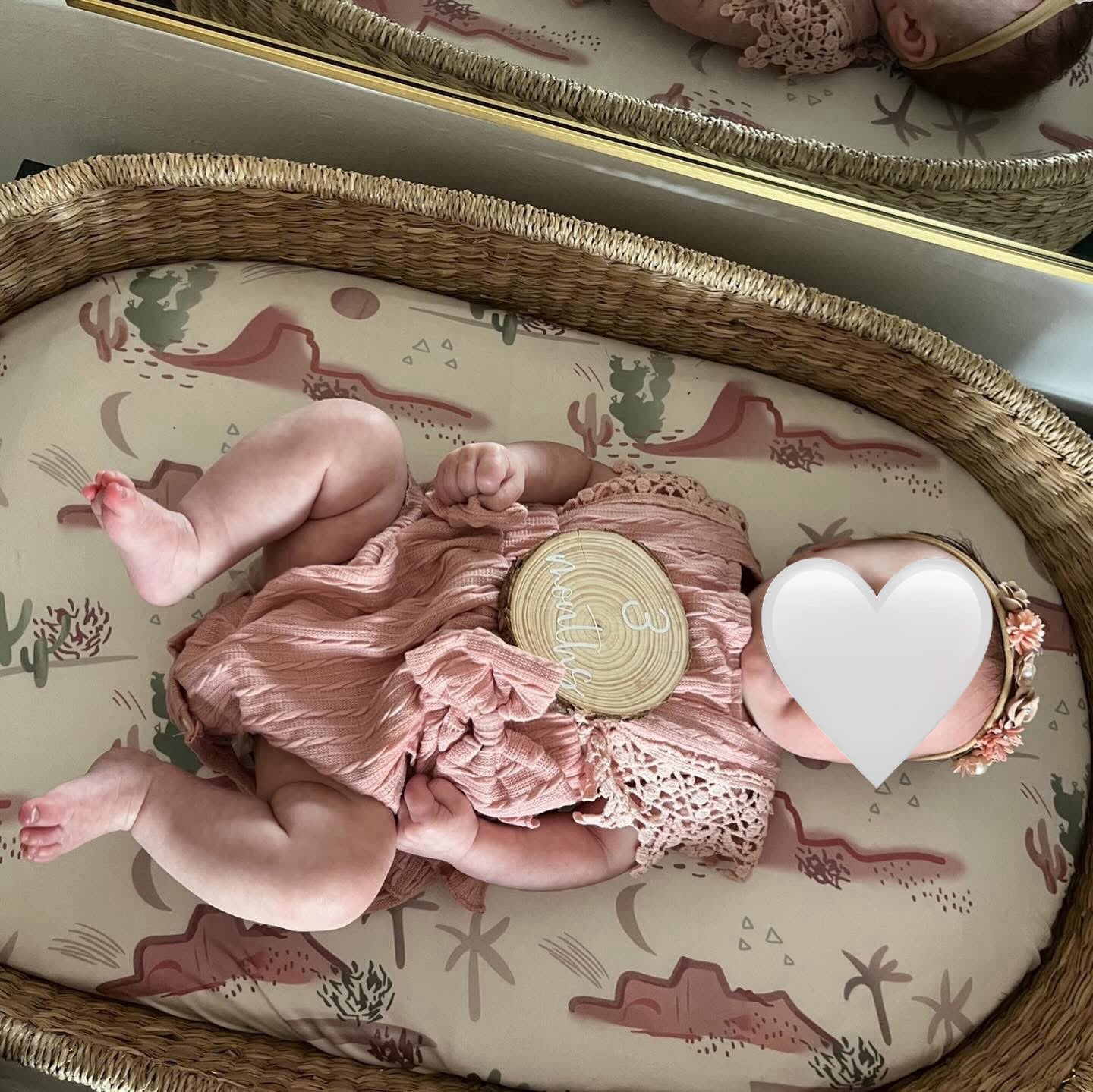 Baby Milestones (12 months)