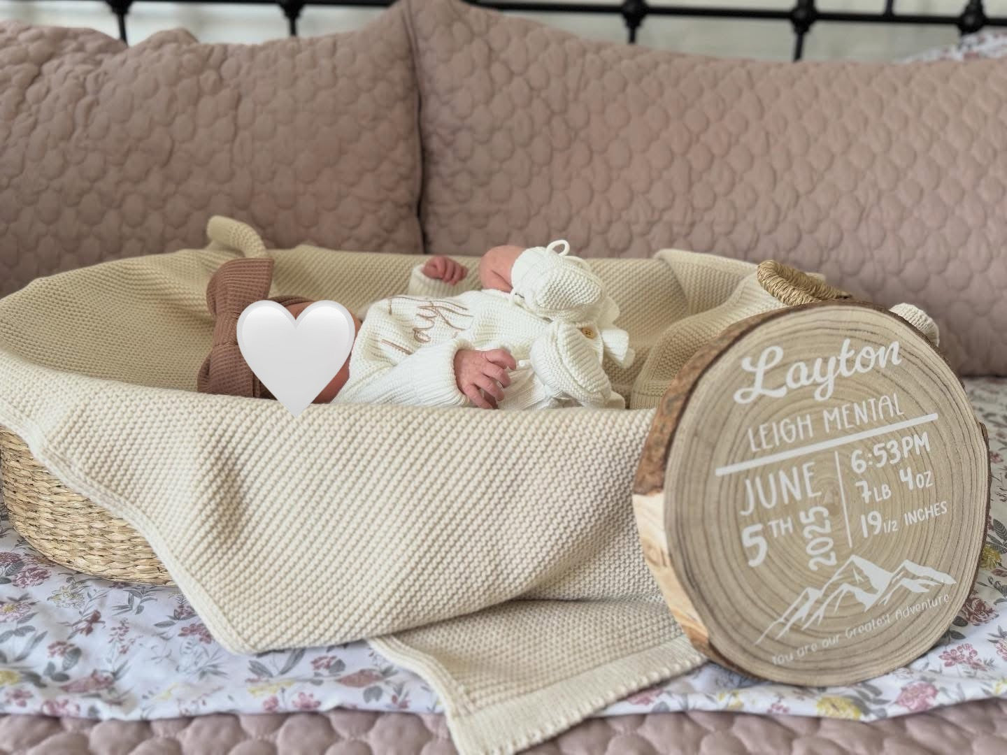 Baby Milestones (12 months)